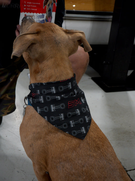 Pet Bandana